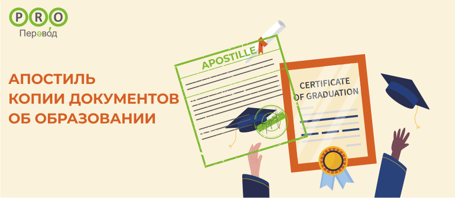 Копии документов об образовании